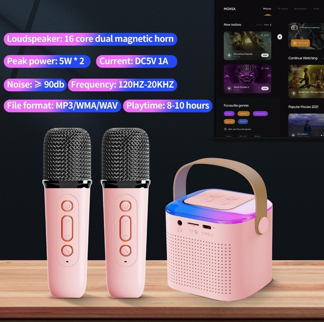 Dual Mike Karaoke