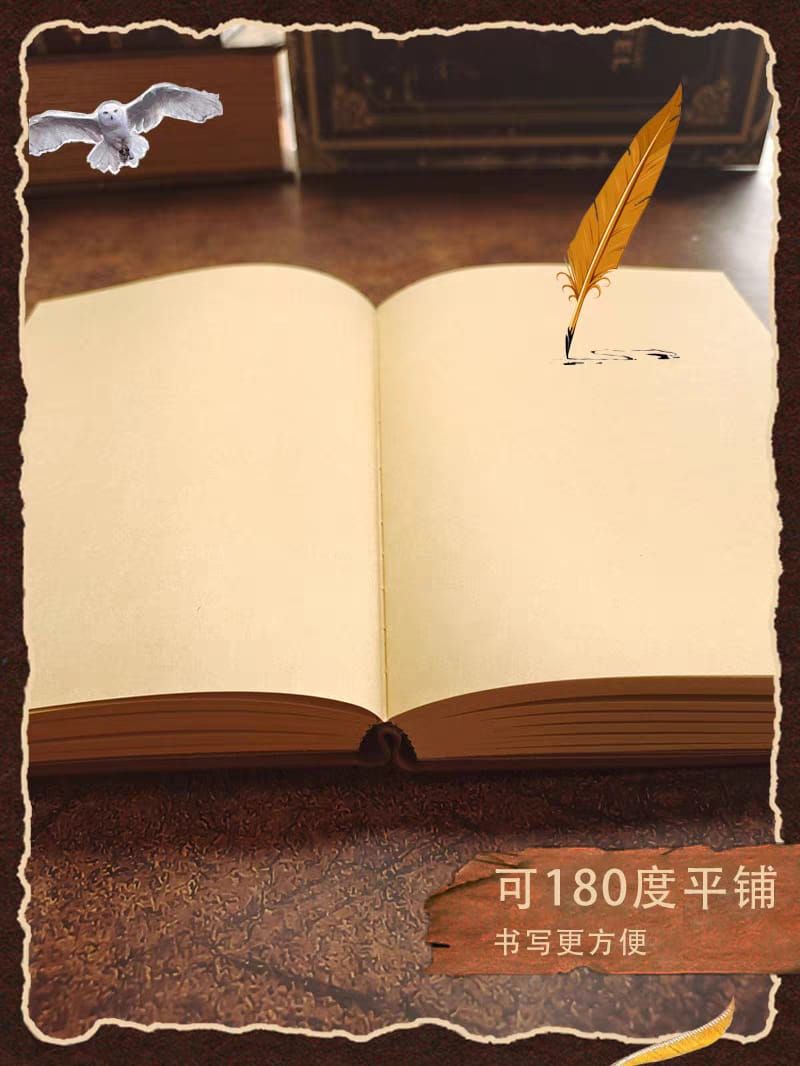 Harry Potter Vintage Collection Diary