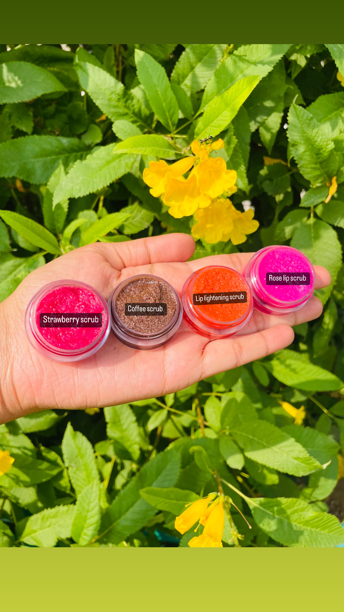 Natural Lip Scrubs